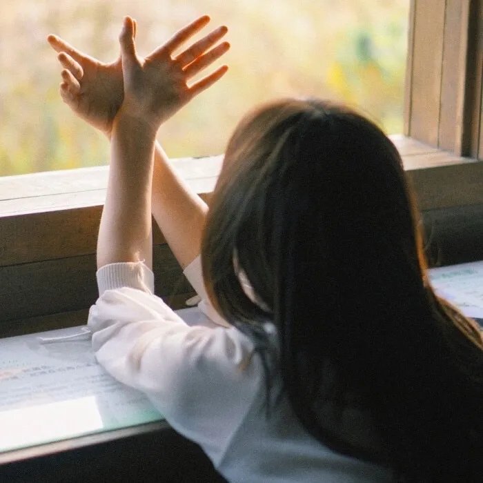 深夜！天才傻鹏